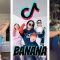 BANANA – Conkarah – (feat. Shaggy)