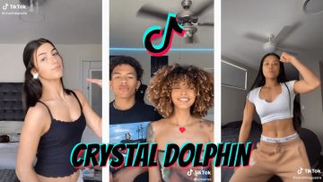 CRYSTAL DOLPHIN (SWITCH UP)