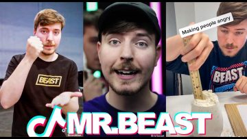 The Most Popular MrBeast TikToks of 2020 | @MrBeast Shorts Tik Tok Compilation 2020